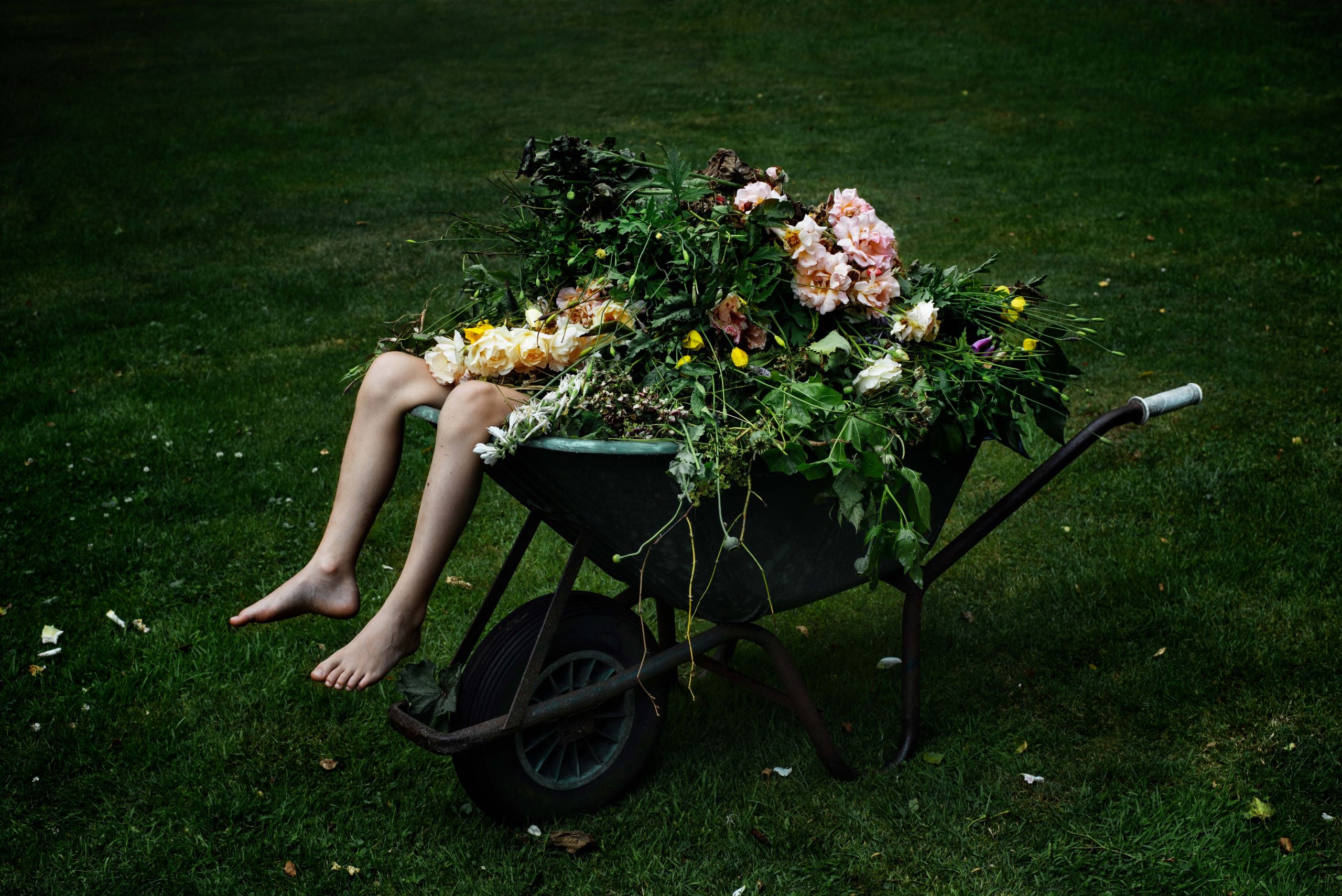 Aimée Hoving, Compost, 2019