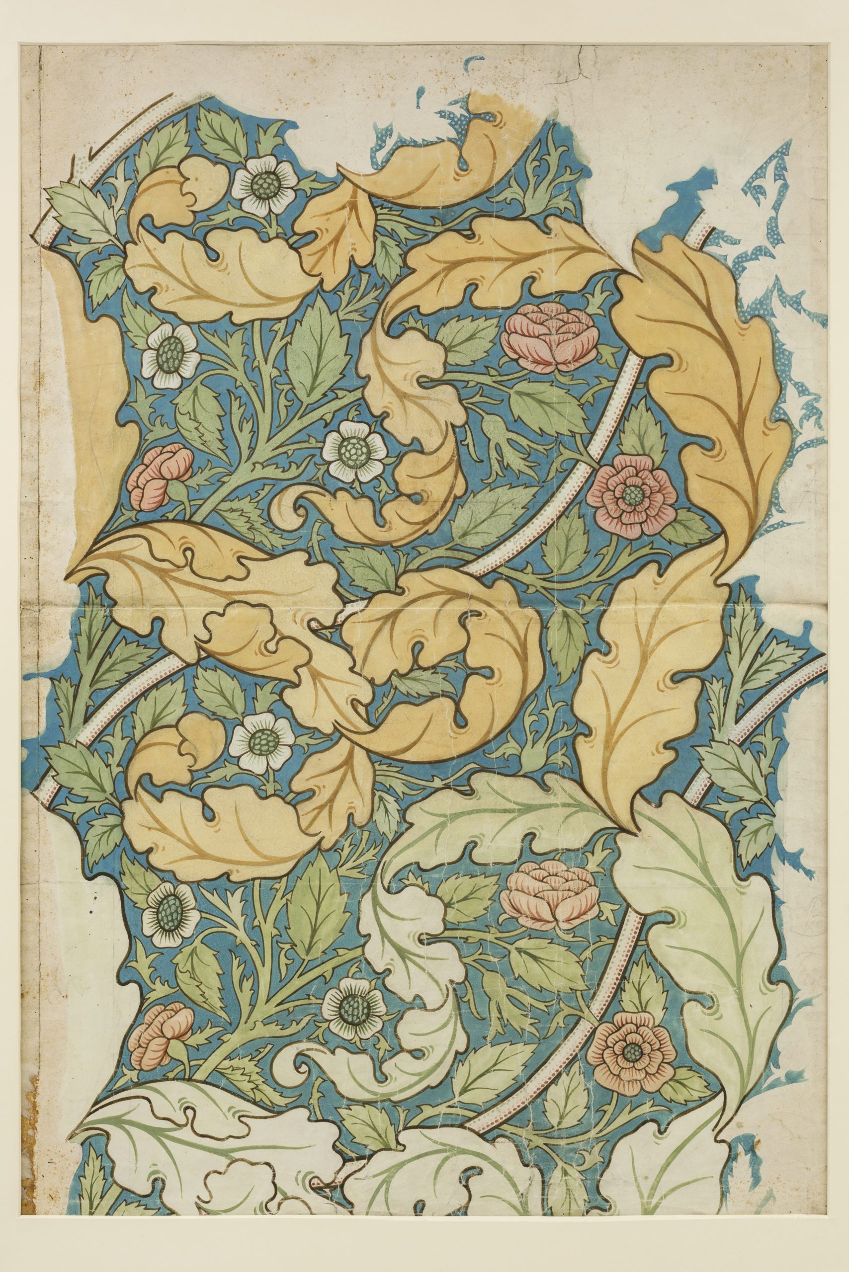 JH Dearle, William Morris, William De Morgan, Design for Acanthus and Rose wallpaper